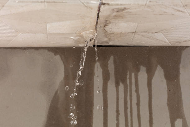 Professional Water Damage Repair technician working in Wrightsboro, TX